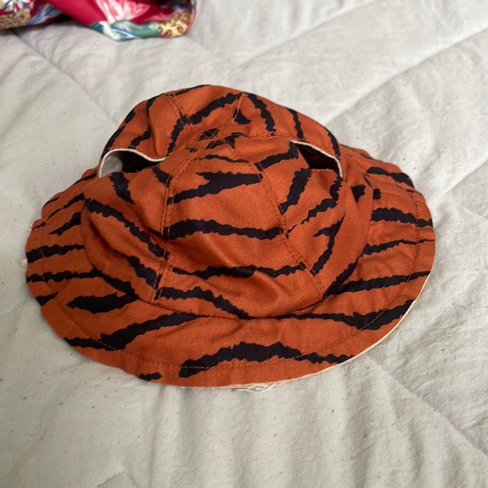 Dog or Cat Hat